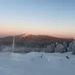 Vuosselin Helmi C7 * Ruka